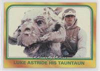 Luke Astride His Tauntaun