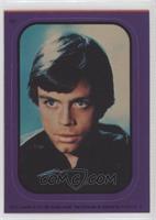 Luke Skywalker (Purple)
