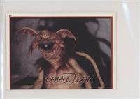 Salacious Crumb