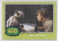 The Empire Strikes Back - Luke's new friend