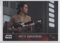 Rey's Awakening