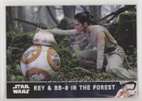 Rey & BB-8 in the Forest