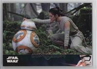 Rey & BB-8 in the Forest