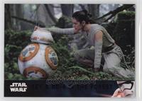 Rey & BB-8 in the Forest