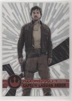 Form 2 - Captain Cassian Andor