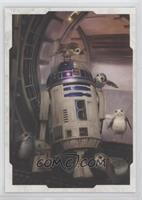 R2-D2, Porgs