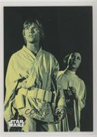 Luke Skywalker's Bold Plan #/99