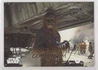 Series Two - Peter Mayhew as Chewbacca #/99