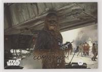 Series Two - Peter Mayhew as Chewbacca #/99