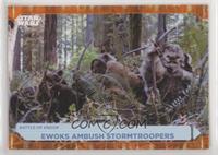 Ewoks Ambush Stormtroopers #/50