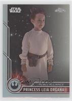 Vivien Lyra Blair as Princess Leia Organa