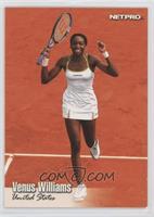 Venus Williams [EX to NM]