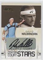 David Nalbandian