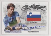 Aljaz Bedene