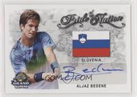 Aljaz Bedene