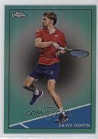 David Goffin #/150