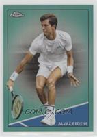 Aljaž Bedene #/150