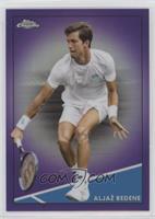 Aljaž Bedene #/199