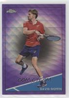 David Goffin #/199