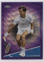 Aljaž Bedene #/199