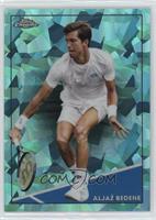 Aljaž Bedene #/199