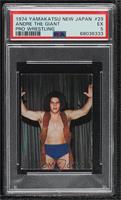 Andre the Giant [PSA 5 EX]