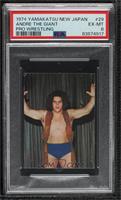 Andre the Giant [PSA 6 EX‑MT]