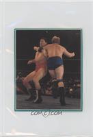 Giant Baba, Dick Murdoch