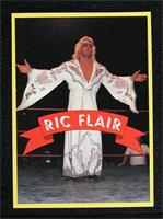 Ric Flair [Poor to Fair]