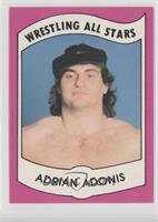 Adrian Adonis