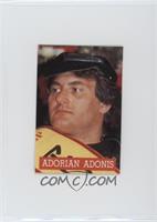 Adrian Adonis