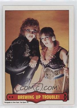 1985 O-Pee-Chee Pro Wrestling Stars - [Base] #19 - Lei Lani Kai, Fabulous Moolah