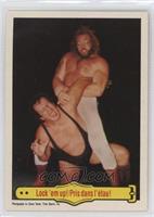 Big John Studd, Chief Jay Strongbow