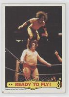 Jimmy Snuka, Andre the Giant