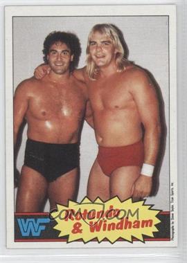 1985 Topps WWF - [Base] #18 - Mike Rotundo, Barry Windham