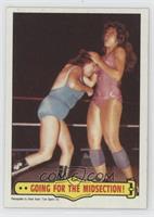 The Fabulous Moolah, Wendi Richter