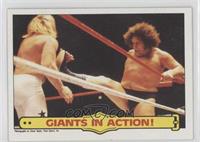 Andre the Giant, Big John Studd