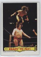 Jimmy Snuka, Andre the Giant