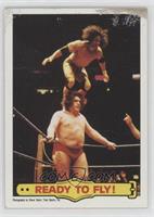 Jimmy Snuka, Andre the Giant [Poor to Fair]