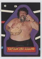 Lou Albano