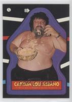 Lou Albano