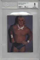 Barry Windham [BGS 8 NM‑MT]