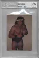 Jimmy Snuka [BGS 7.5 NEAR MINT+]