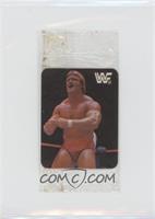 Paul Orndorff