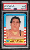 Andre the Giant [PSA 8 NM‑MT]
