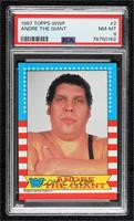 Andre the Giant [PSA 8 NM‑MT]