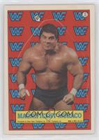 Don Muraco [EX to NM]