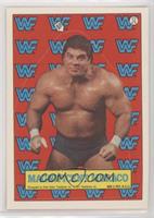 Don Muraco