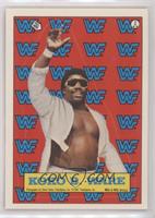 Koko B. Ware