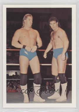 1988 Wonderama NWA - [Base] #108 - Brad Armstrong & Tim Horner